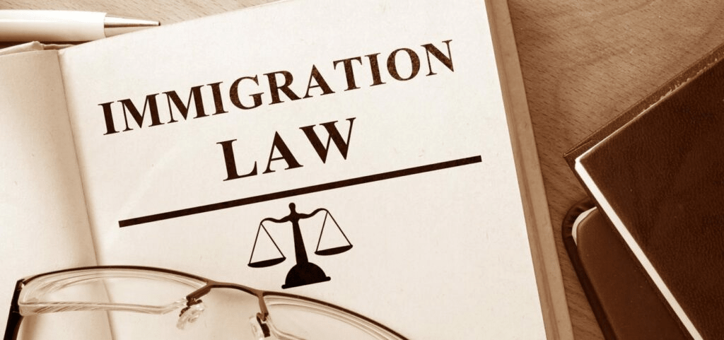 Immigration Law Support