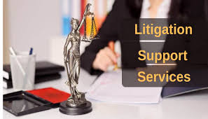 Litigation Support